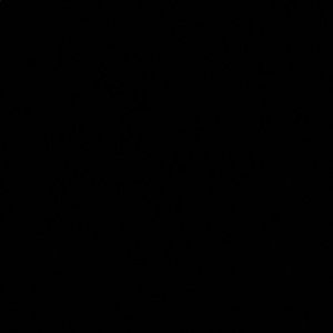 Meet your Posher, Dylan